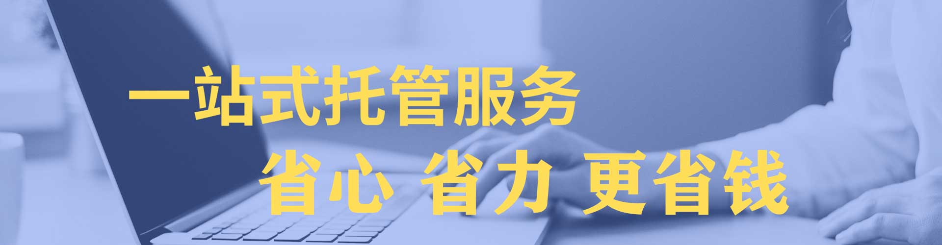 紫金sem竞价