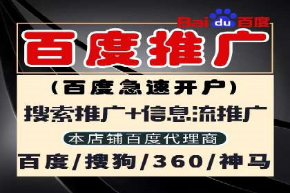 案例分析：SEM广告助力电商行业突破